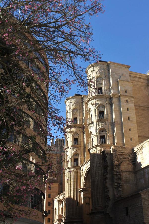 Casa La Victoria Daire Málaga Dış mekan fotoğraf